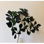BLADTAK GROEN  | GROEN | 65 CM
