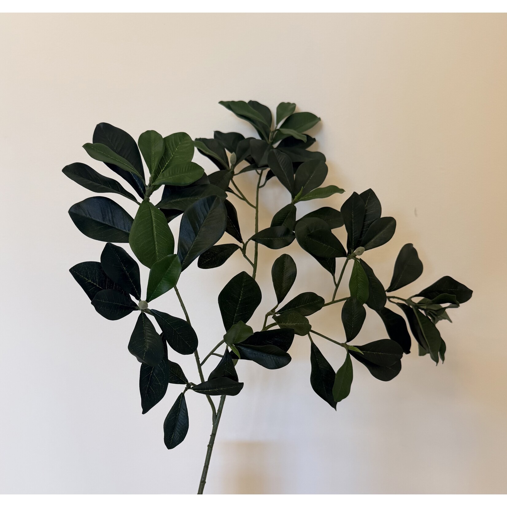BLADTAK GROEN  | GROEN | 65 CM