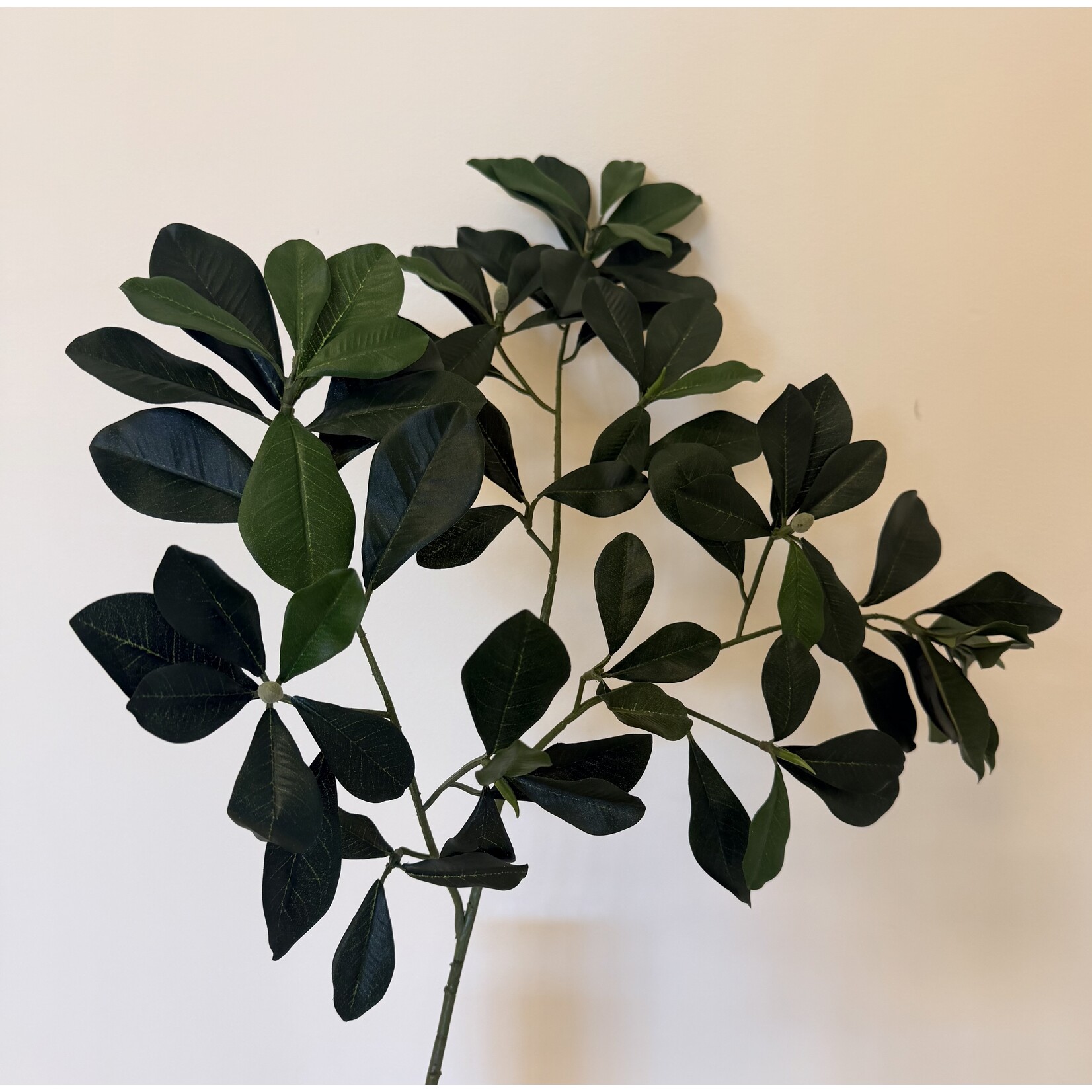 BLADTAK GROEN  | GROEN | 65 CM