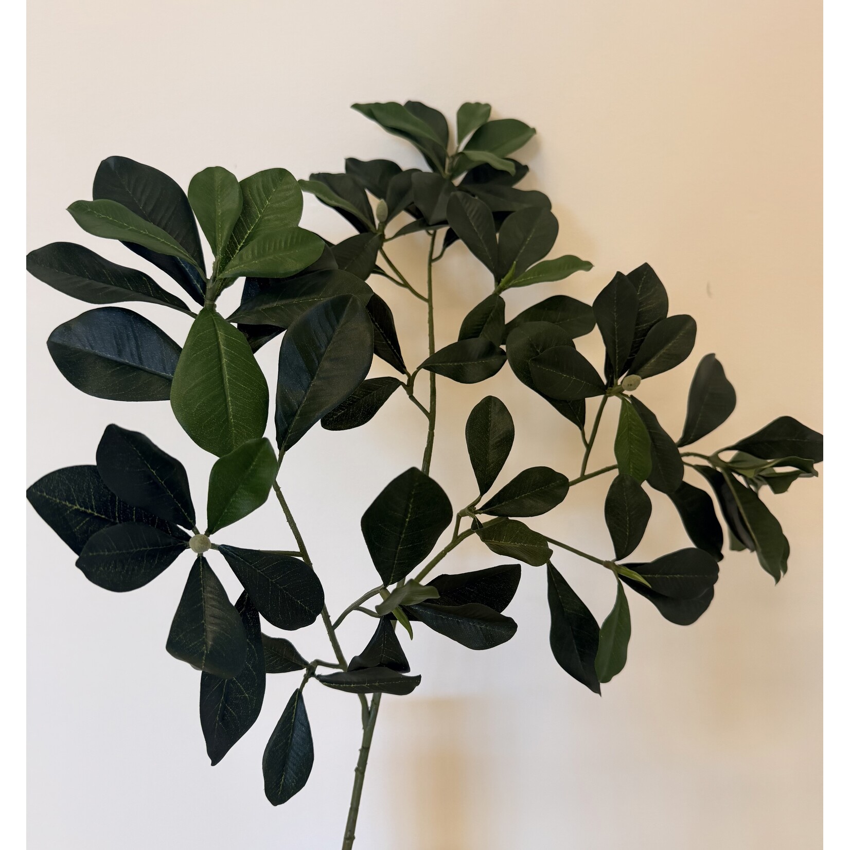 BLADTAK GROEN  | GROEN | 65 CM
