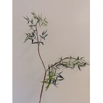 VAREN TAK FIJN  | GROEN | 110 CM