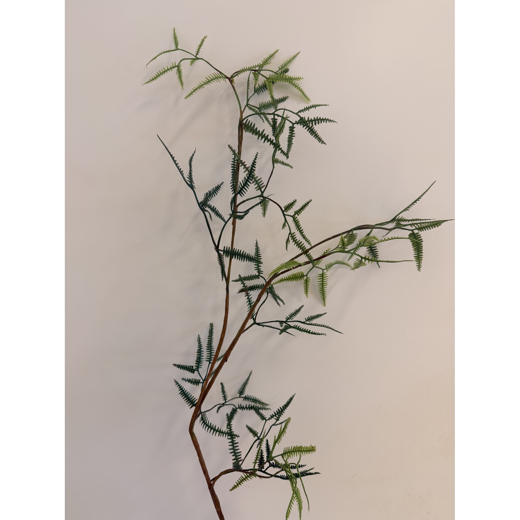 VAREN TAK FIJN  | GROEN | 110 CM