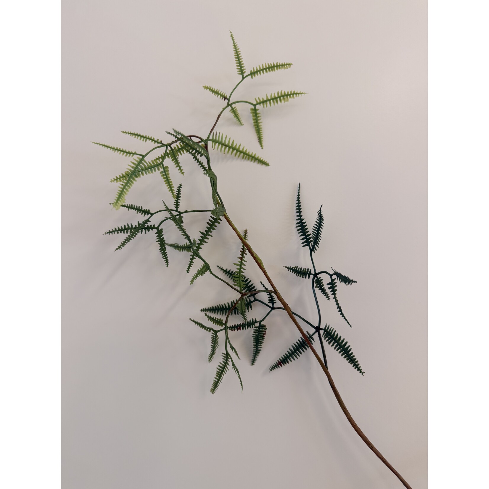 FERN BRANCH FINE  | GREEN | 110 CM