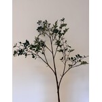 TAK XL MYRICA | GROEN | 130 CM