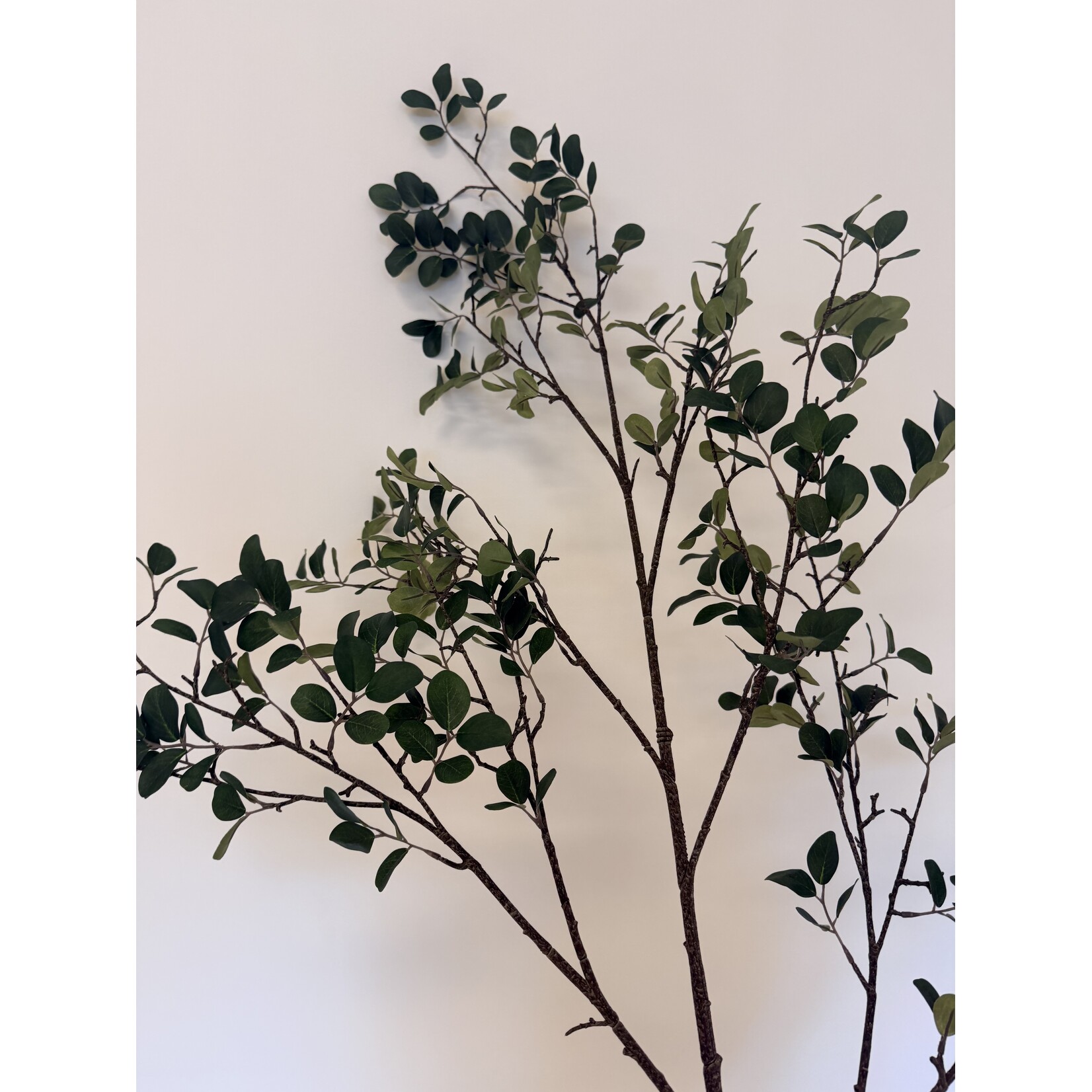 TAK XL MYRICA | GROEN | 130 CM