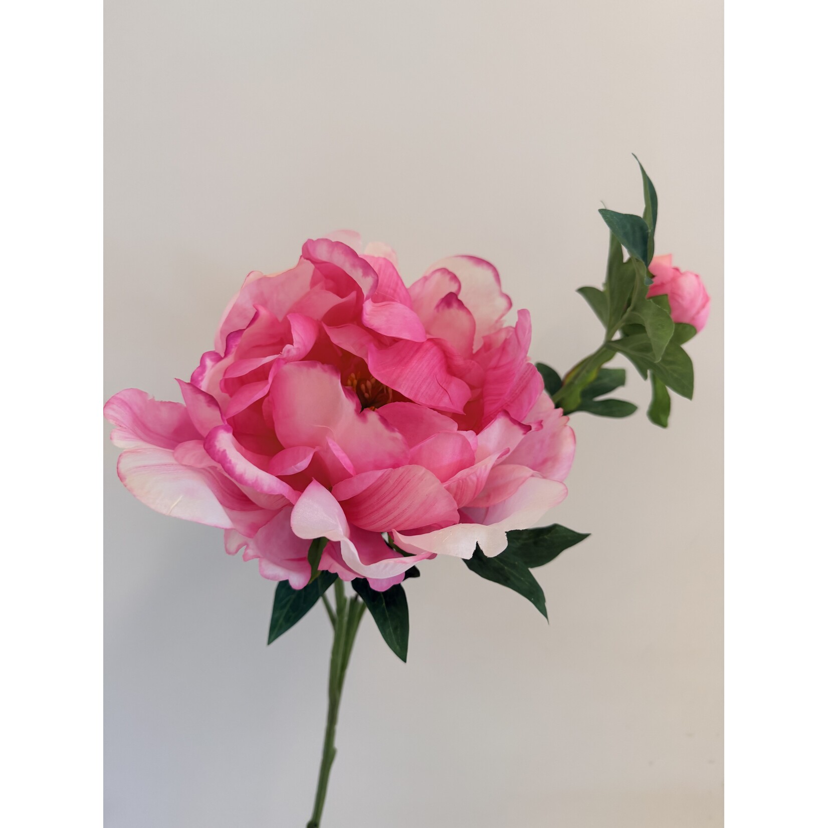 PEONY FELIX CROUSE | PINK | 60 CM |