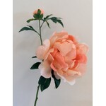 PEONY ROSE | SALMON | 60 CM
