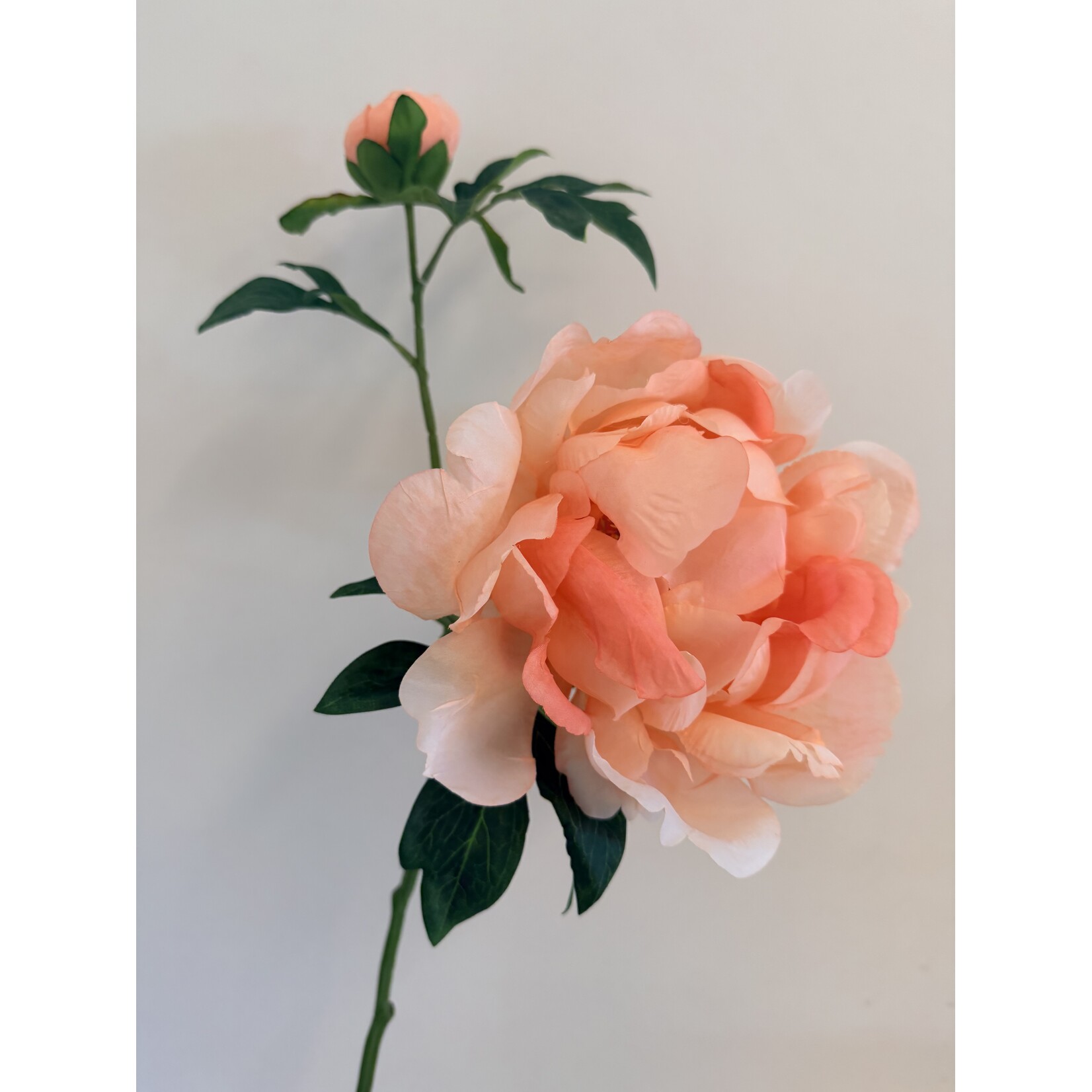 PEONY ROSE PASTEL ELEGANCE | SALMON | 60 CM