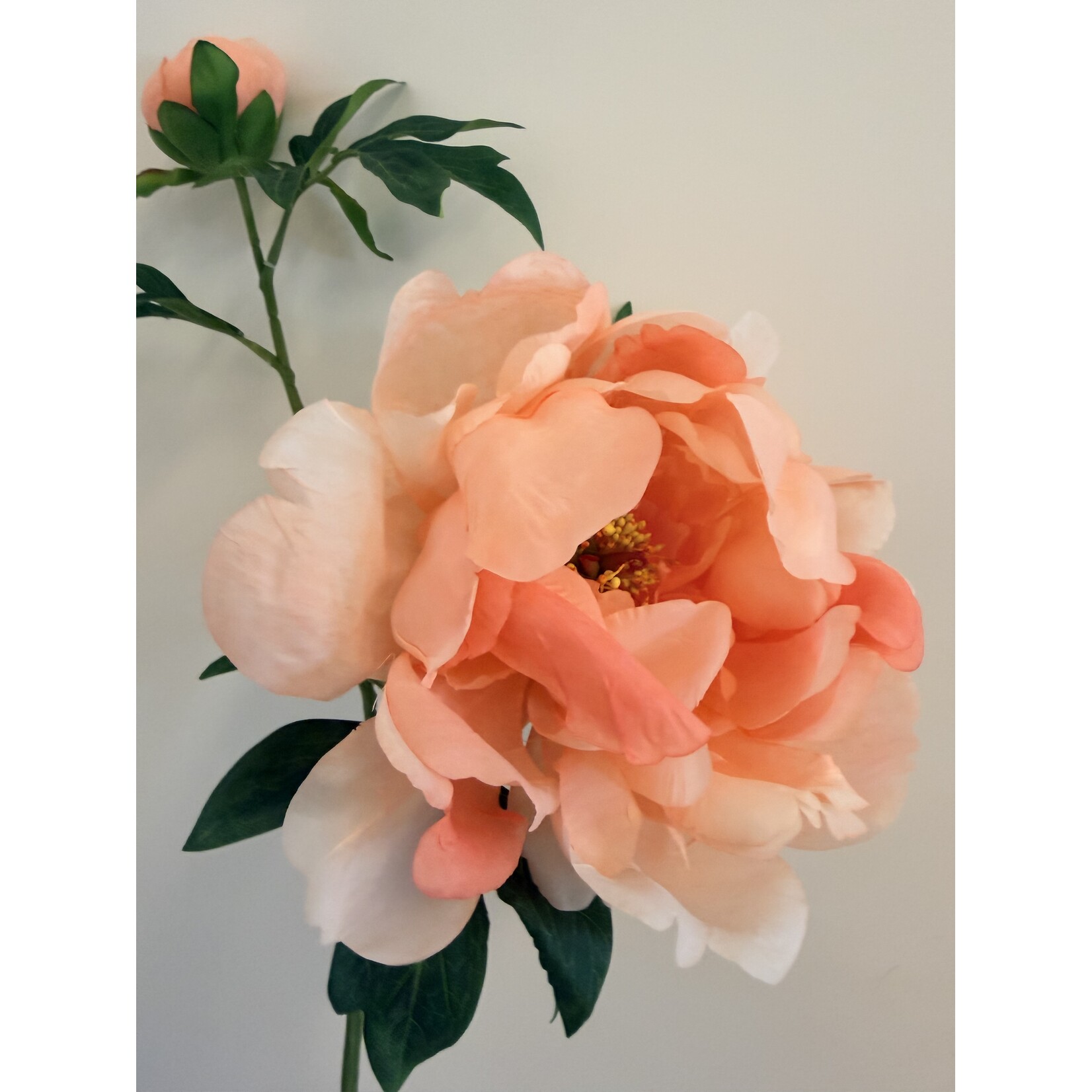 PEONY ROSE PASTEL ELEGANCE | SALMON | 60 CM