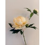 PIOENROOS MEDIUM | GEEL | 60 CM