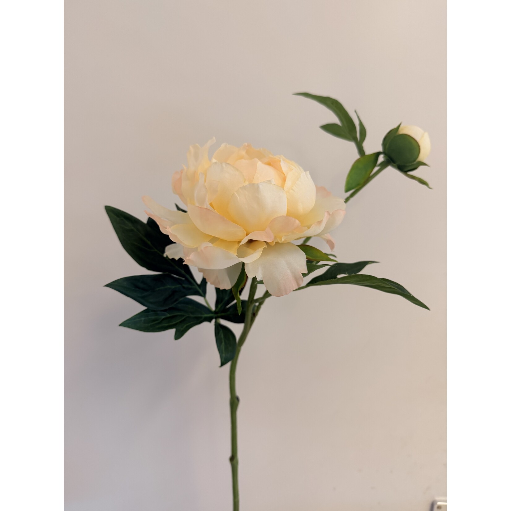 PEONY ROSE MEDIUM | YELLOW | 60 CM