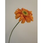 GERBERA | ORANJE | 50 CM