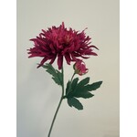 CHRYSANTHEMUM SHORT | FUCHSIA | 40 CM