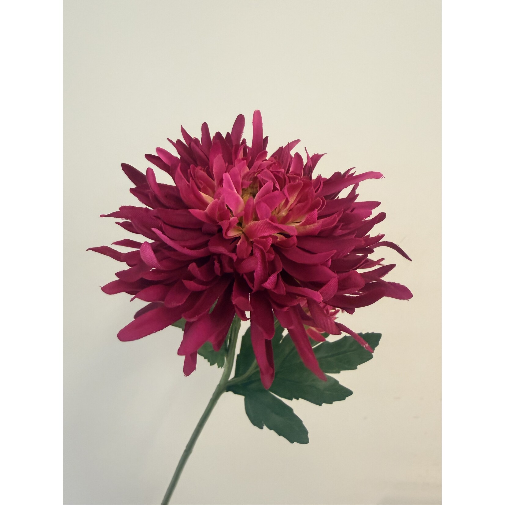 CHRYSANT KORT | FUCHSIA | 40 CM