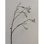 BEAN SPRAY | GREEN | 90 CM