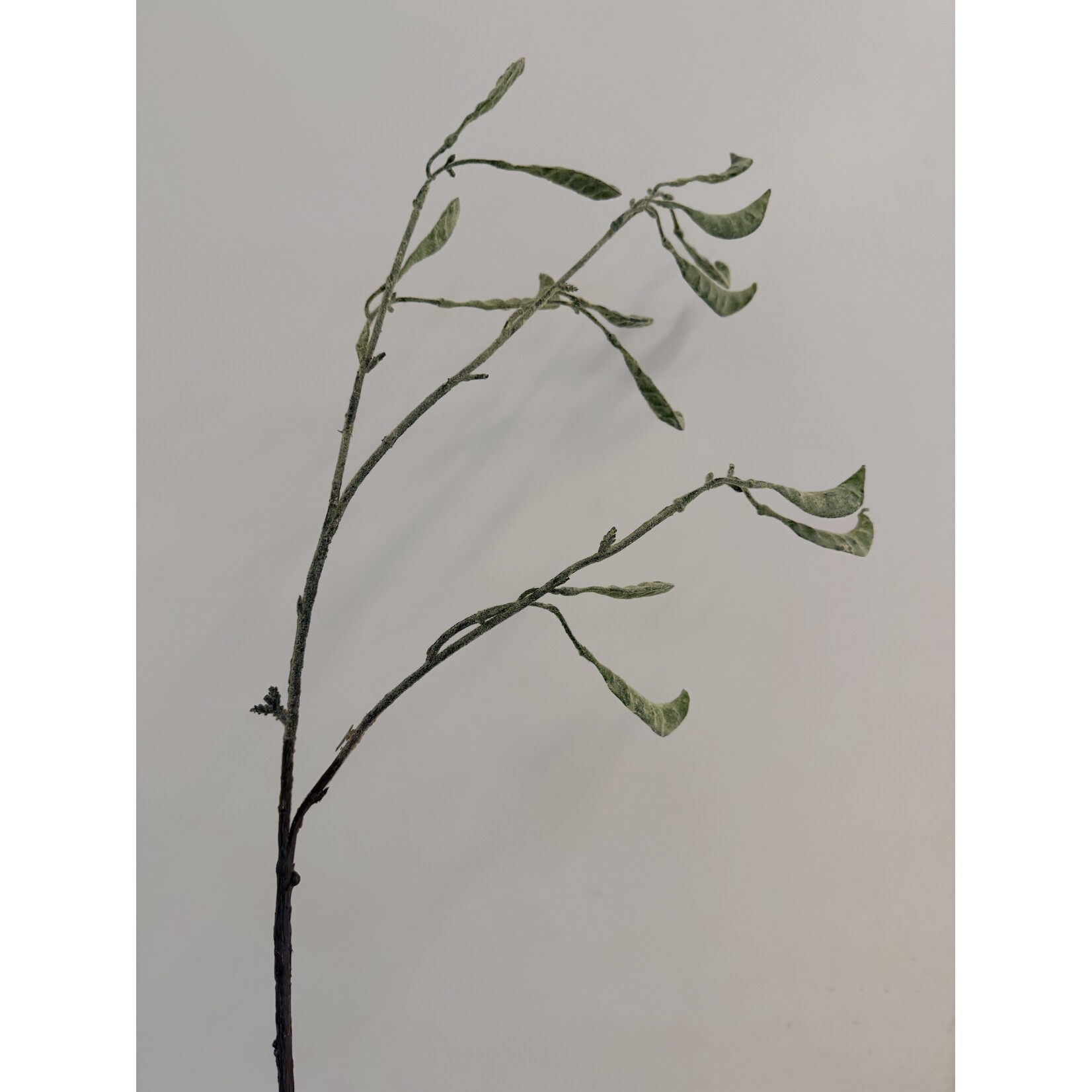 BONENTAK LADY DI | GROEN | 90 CM