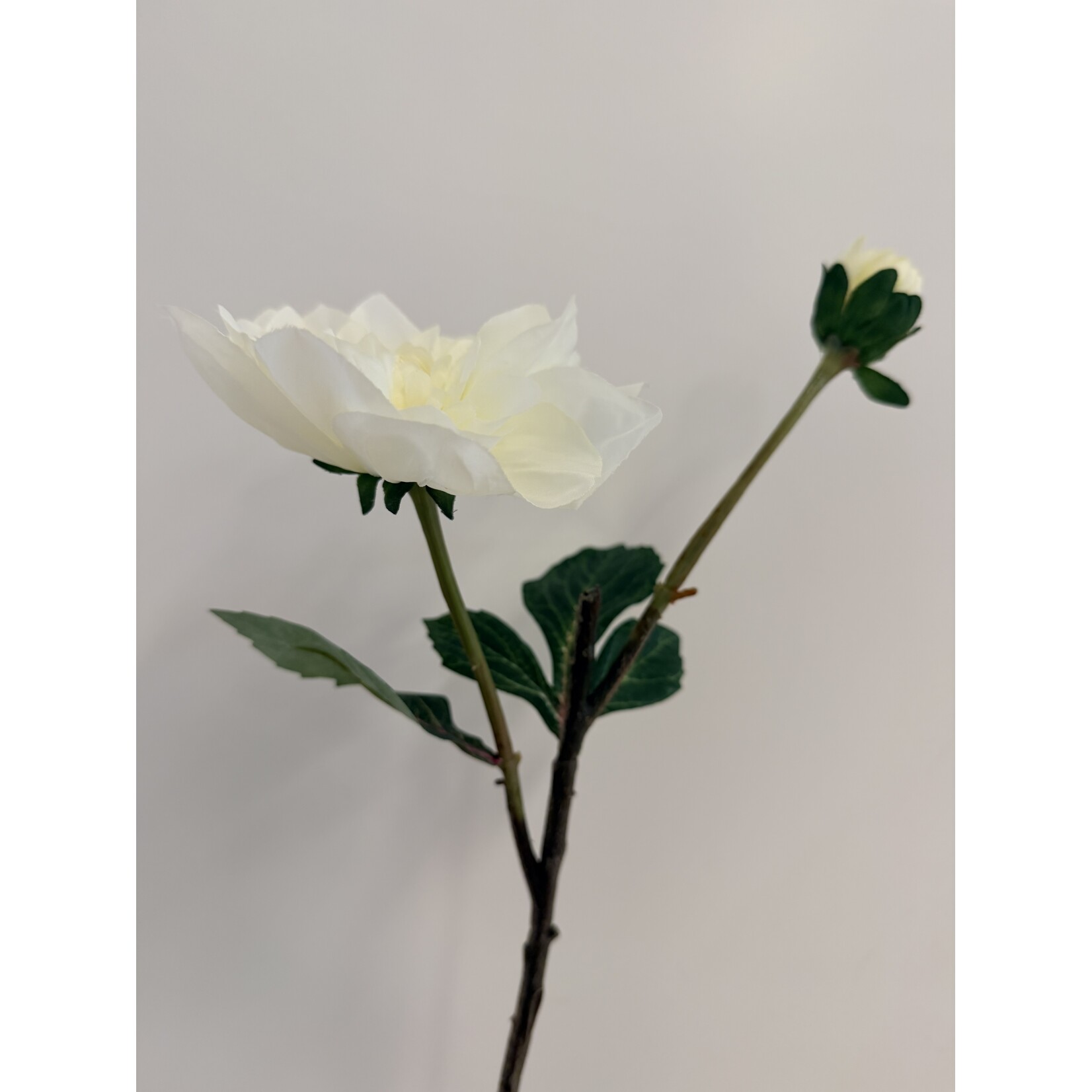 DAHLIA BRANCH WHITE PERFECTION | WHITE |  45 CM