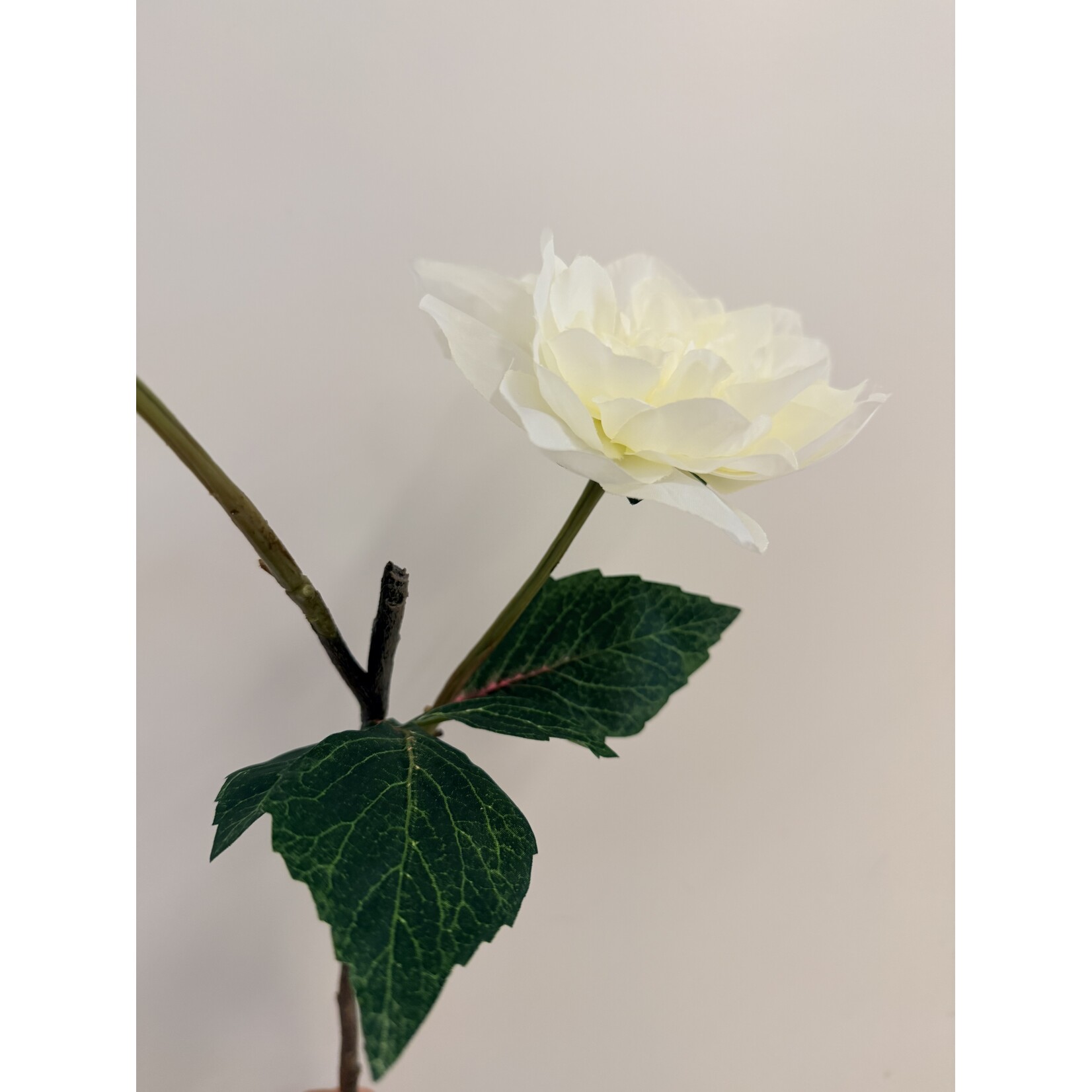 DAHLIA BRANCH WHITE PERFECTION | WHITE |  45 CM