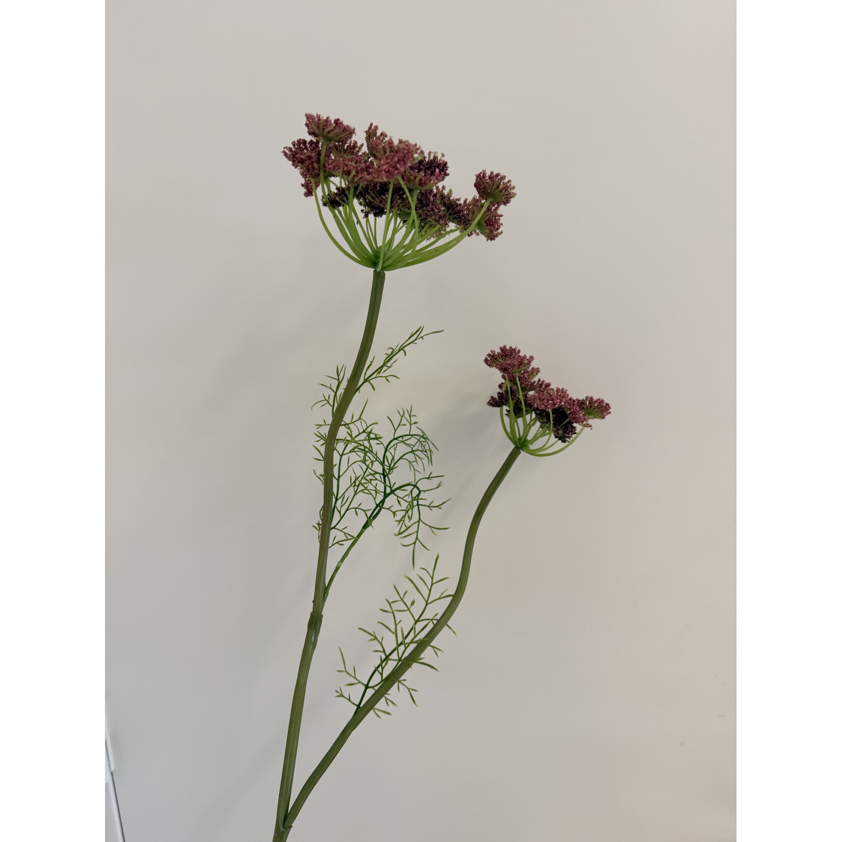 WILDE PEEN | ROZE | 95 CM