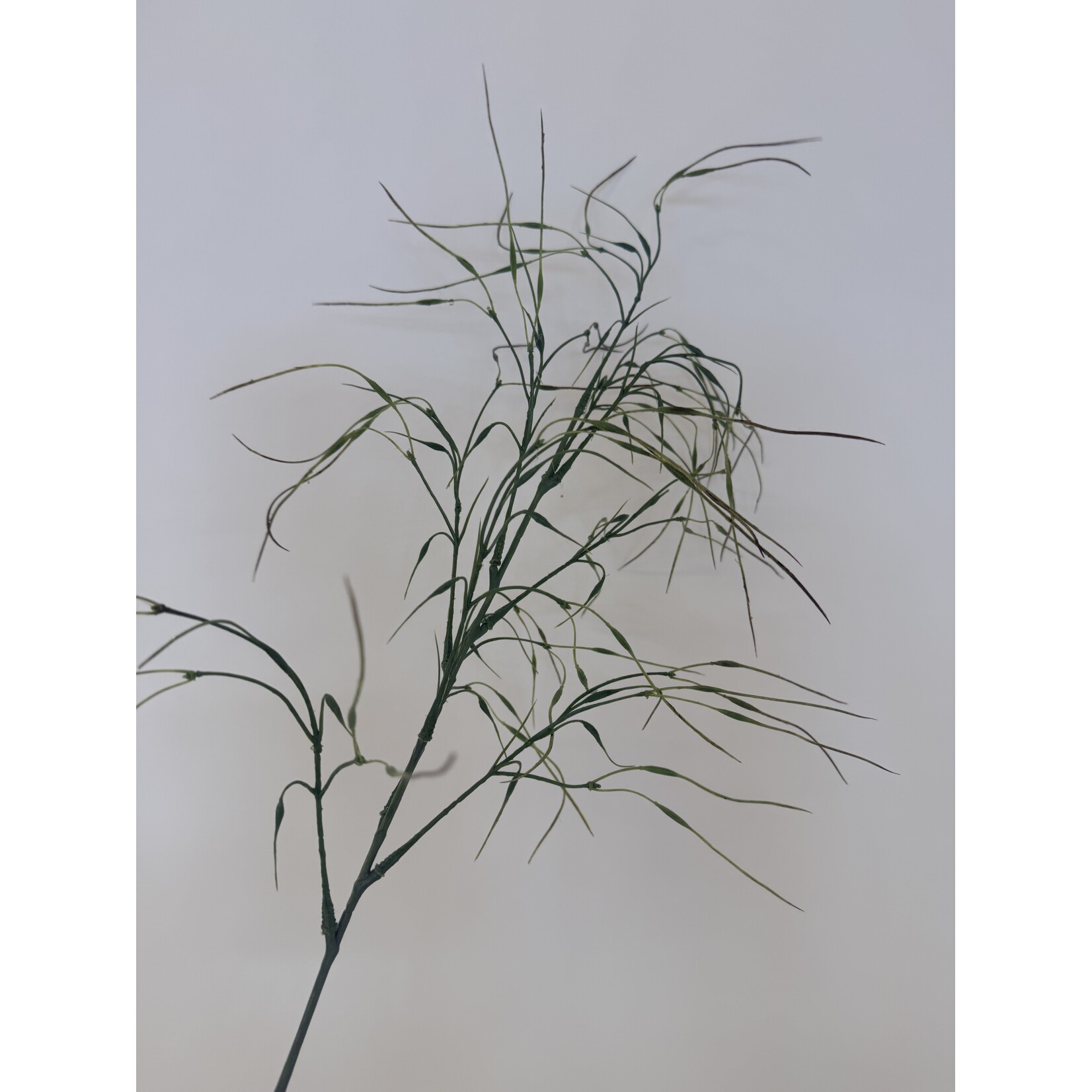 GRAS TAK XL | GROEN | 105 CM