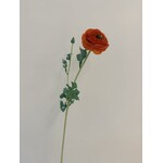 RANONKEL | ORANJE | 68 CM