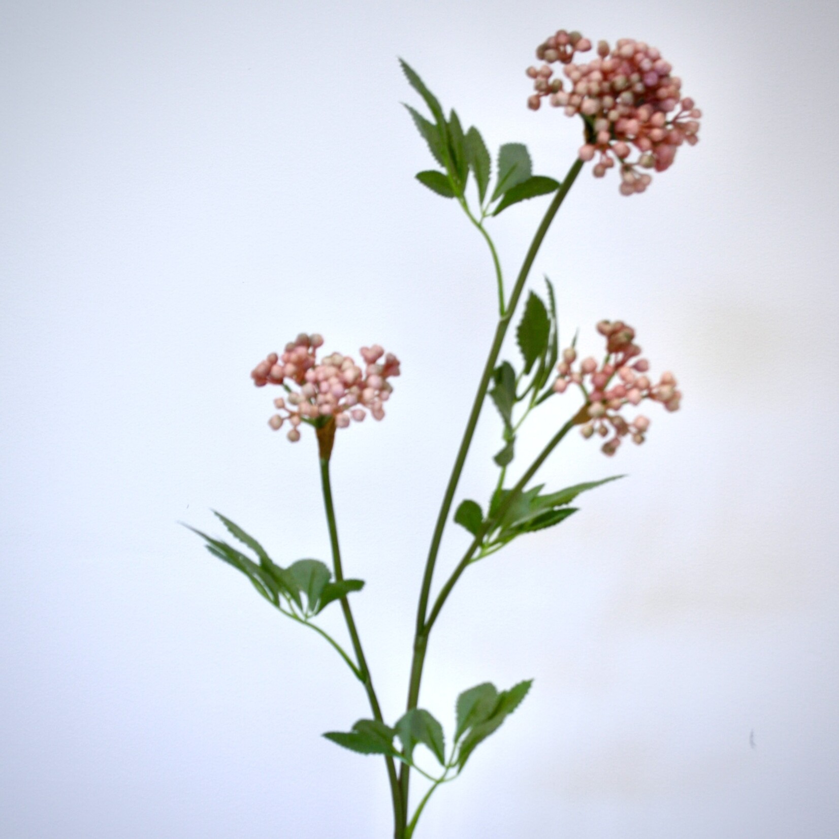 BERRY  SPRAY | PINK | 80 CM