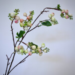 SNEEUWBES | ROZE | 80 CM