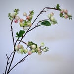 SNOWBERRY | PINK | 80 CM