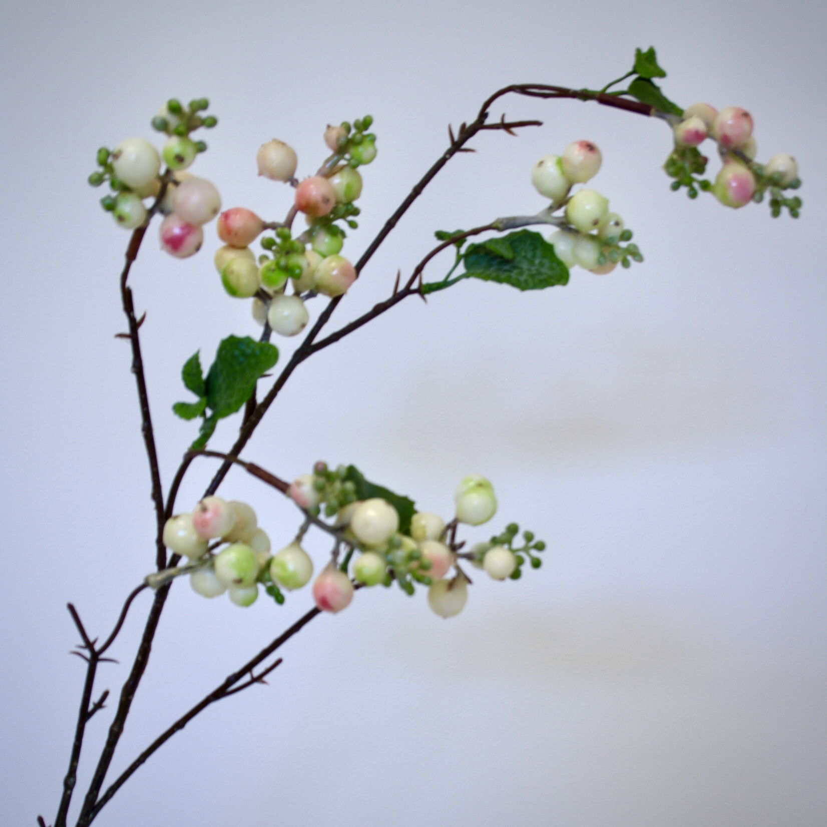 SNEEUWBES MOTHER OF PEARL| ROZE | 80 CM