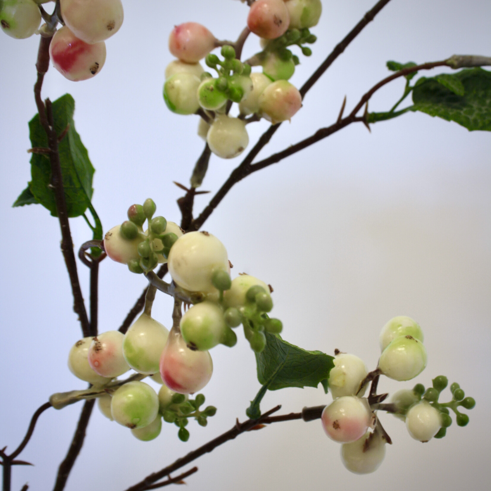 SNEEUWBES MOTHER OF PEARL| ROZE | 80 CM