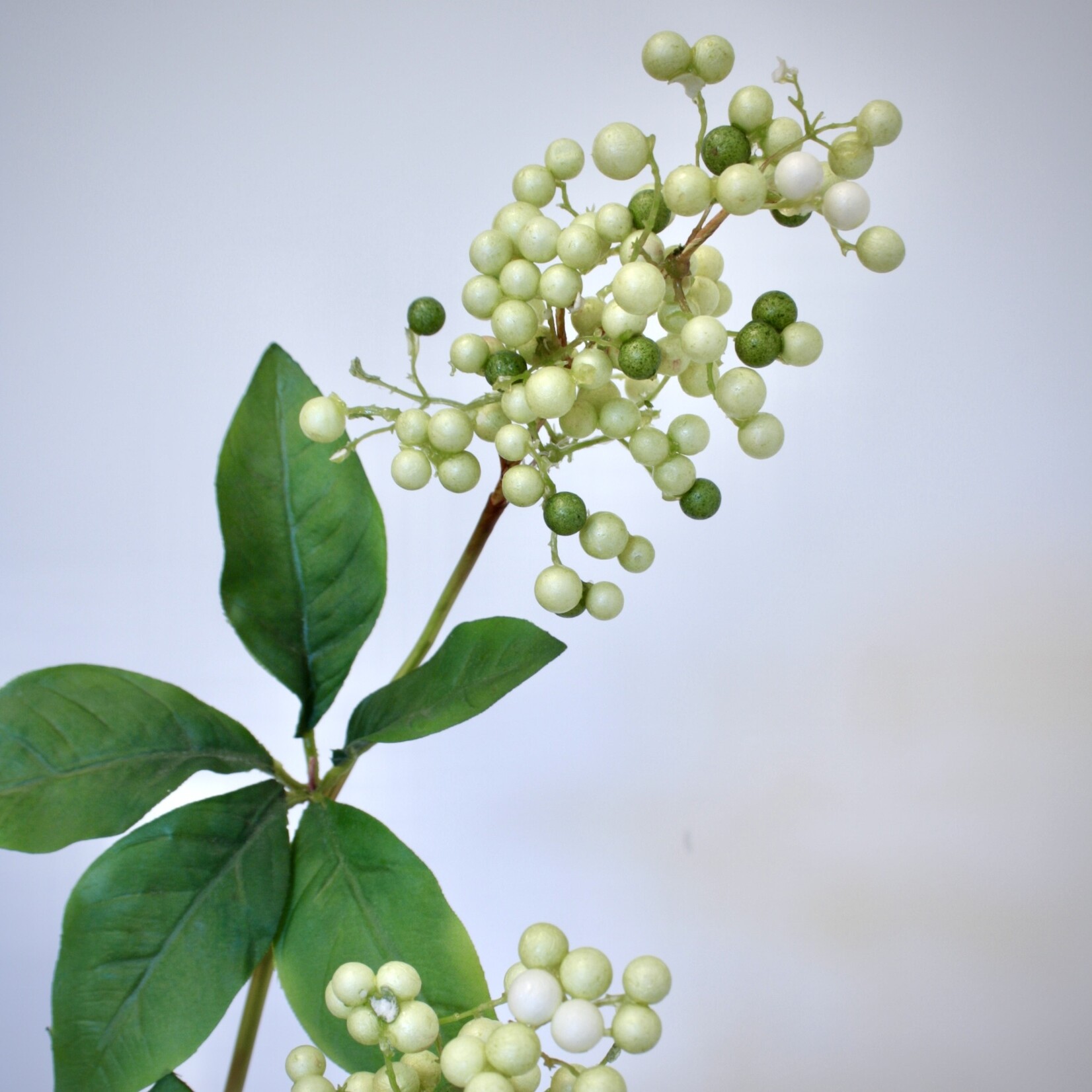 BERRY  SPRAY | GREEN | 75 CM