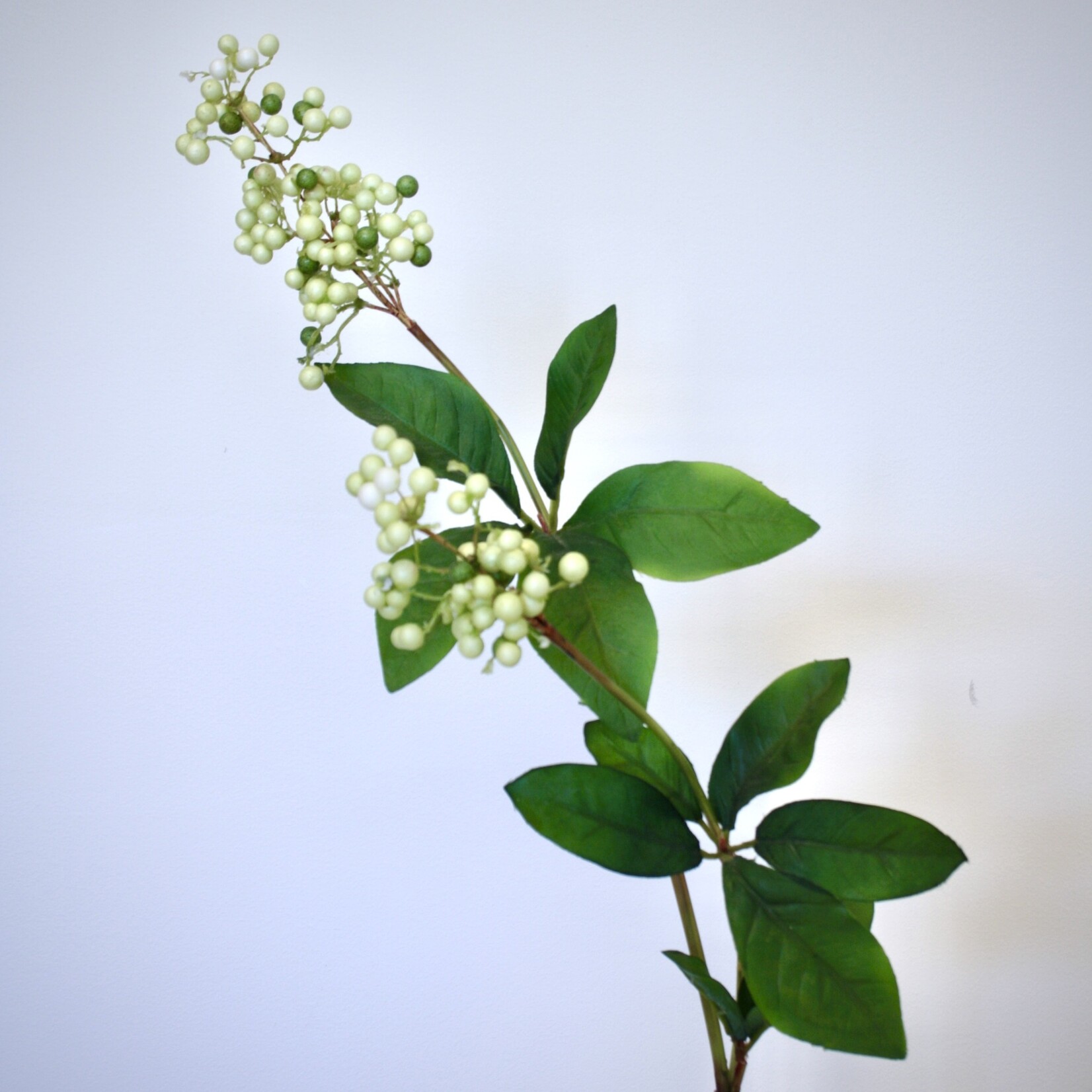 BERRY  SPRAY | GREEN | 75 CM