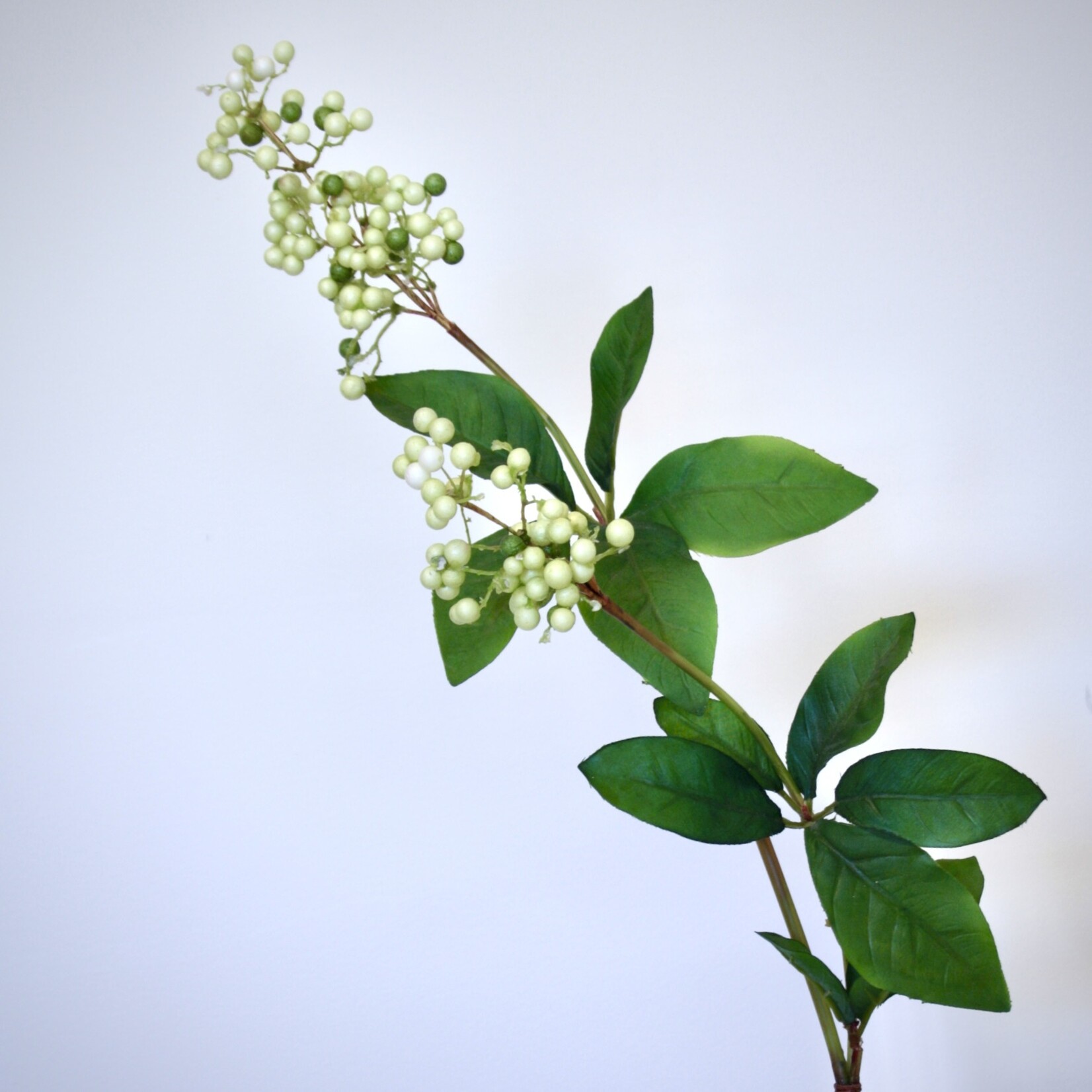 BERRY  SPRAY | GREEN | 75 CM