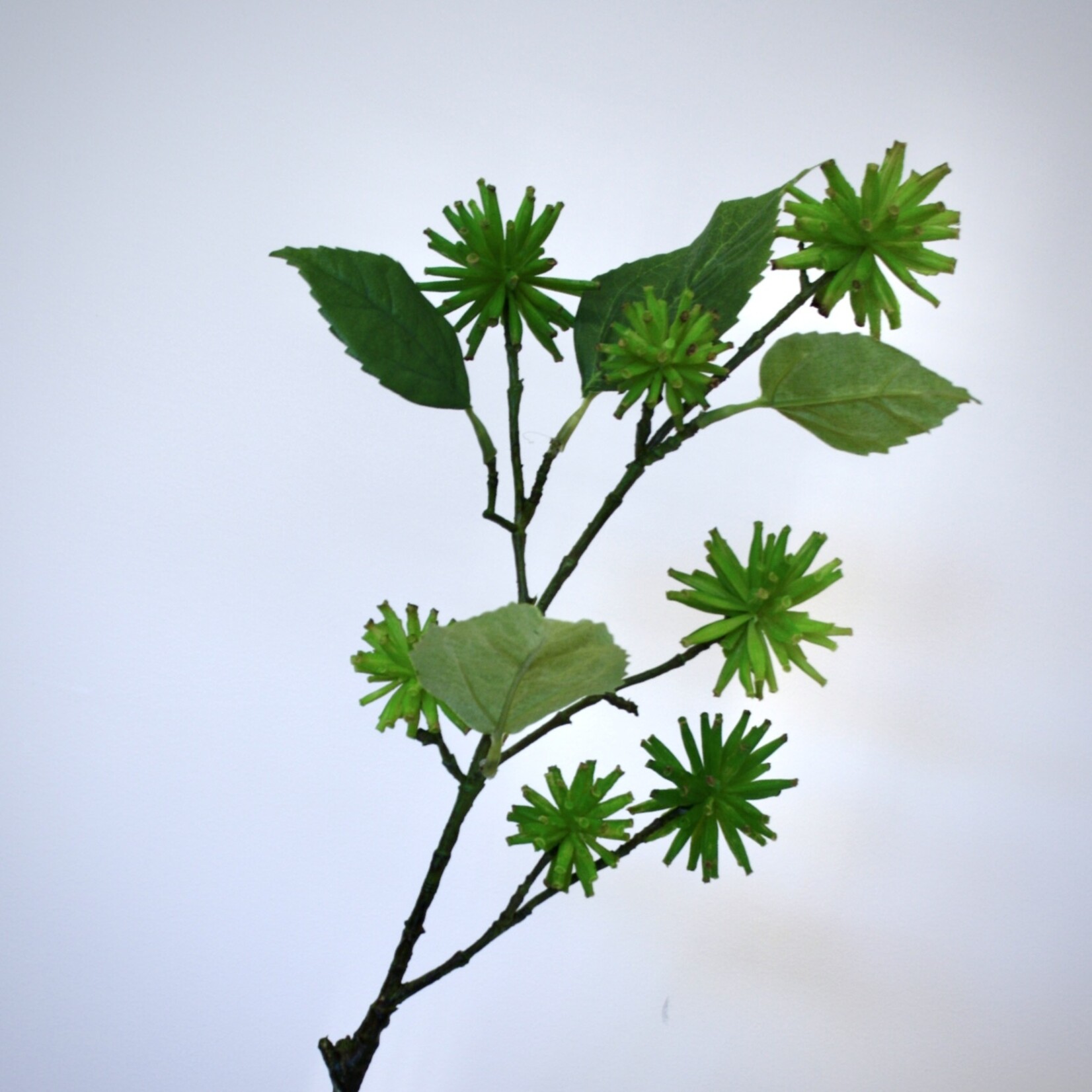 TROPISCHE TAK| GROEN | 70 CM