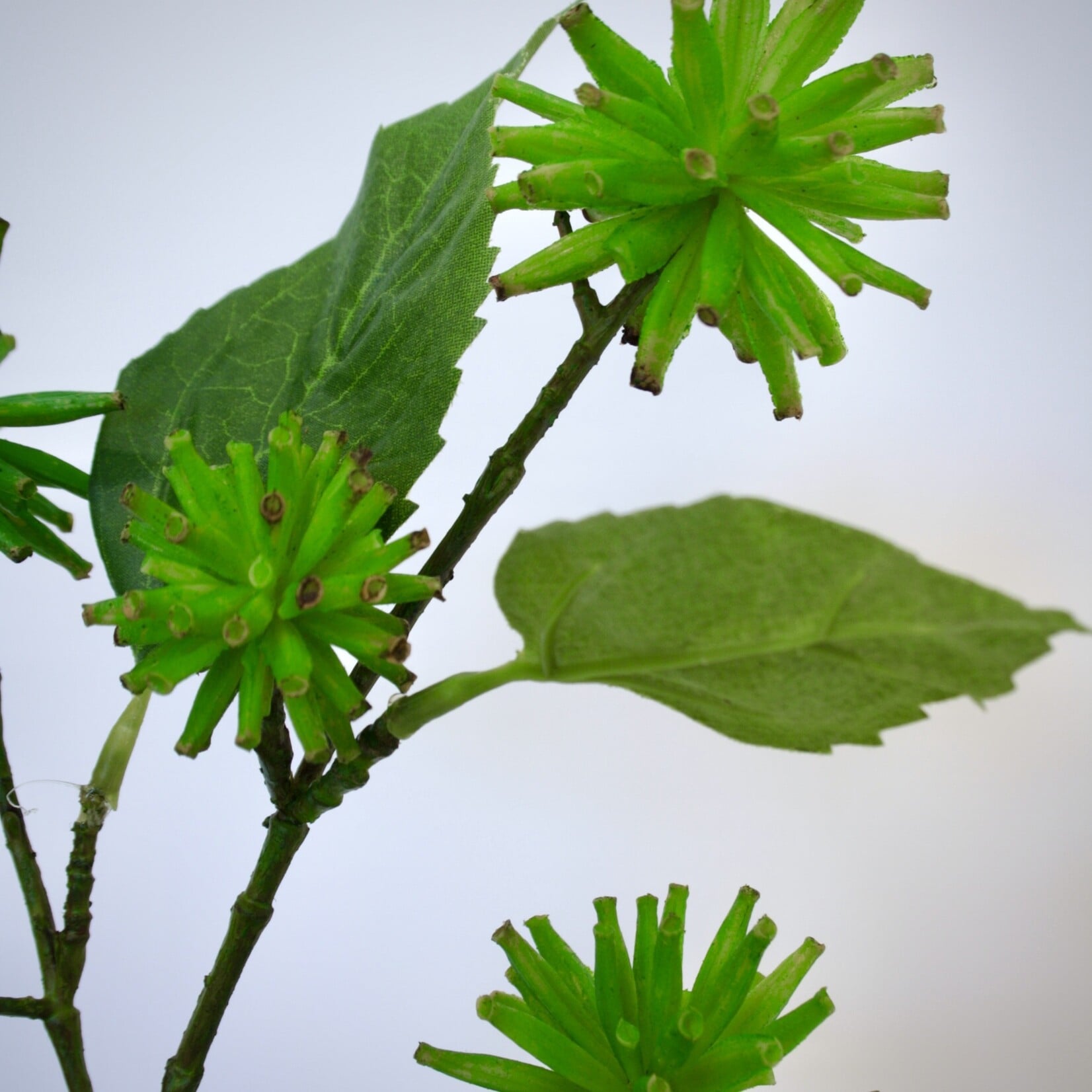TROPICAL  BRANCH | GREEN | 70 CM