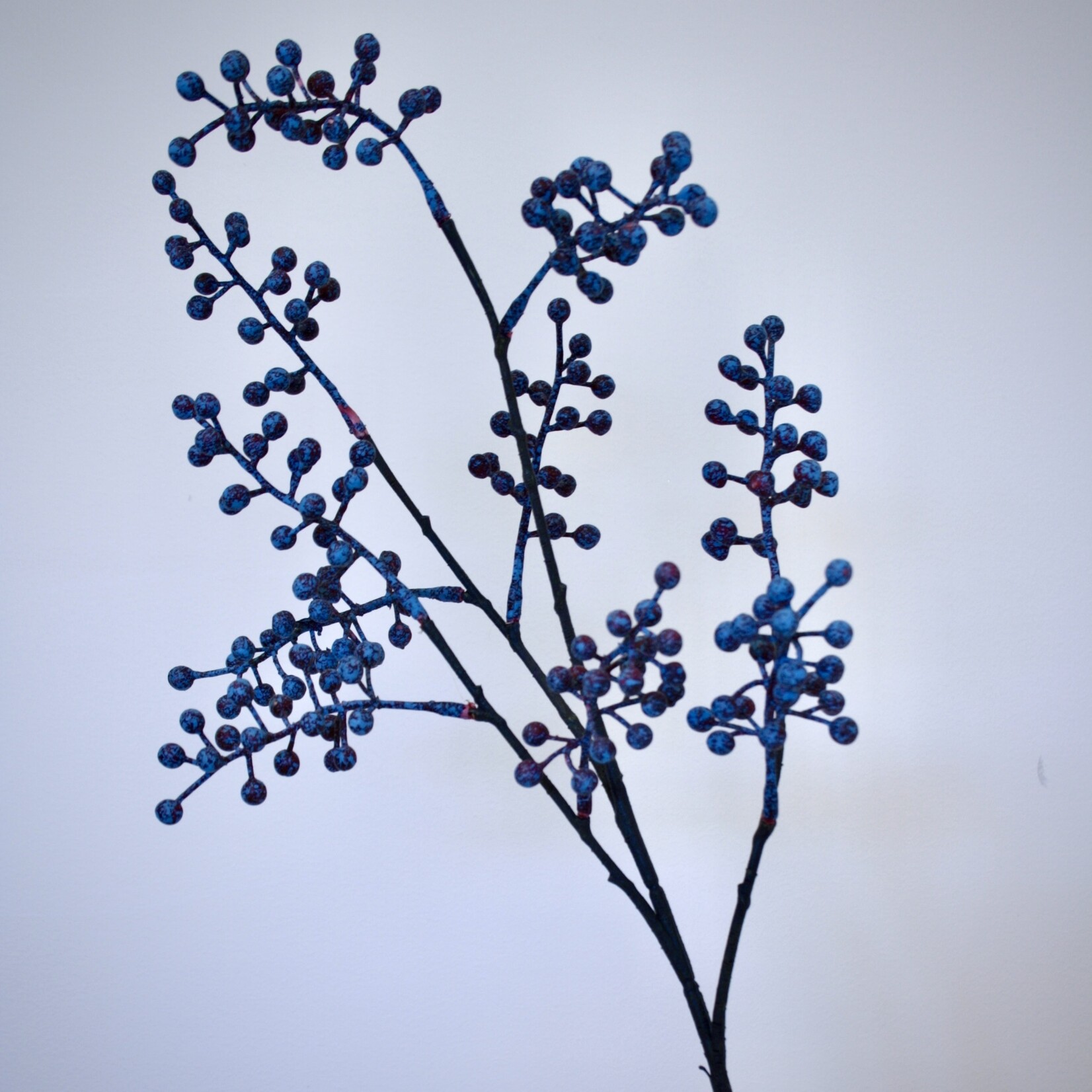 BERRY  SPRAY | BLUE | 70 CM