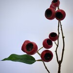 BERRY  SPRAY | RED | 70 CM
