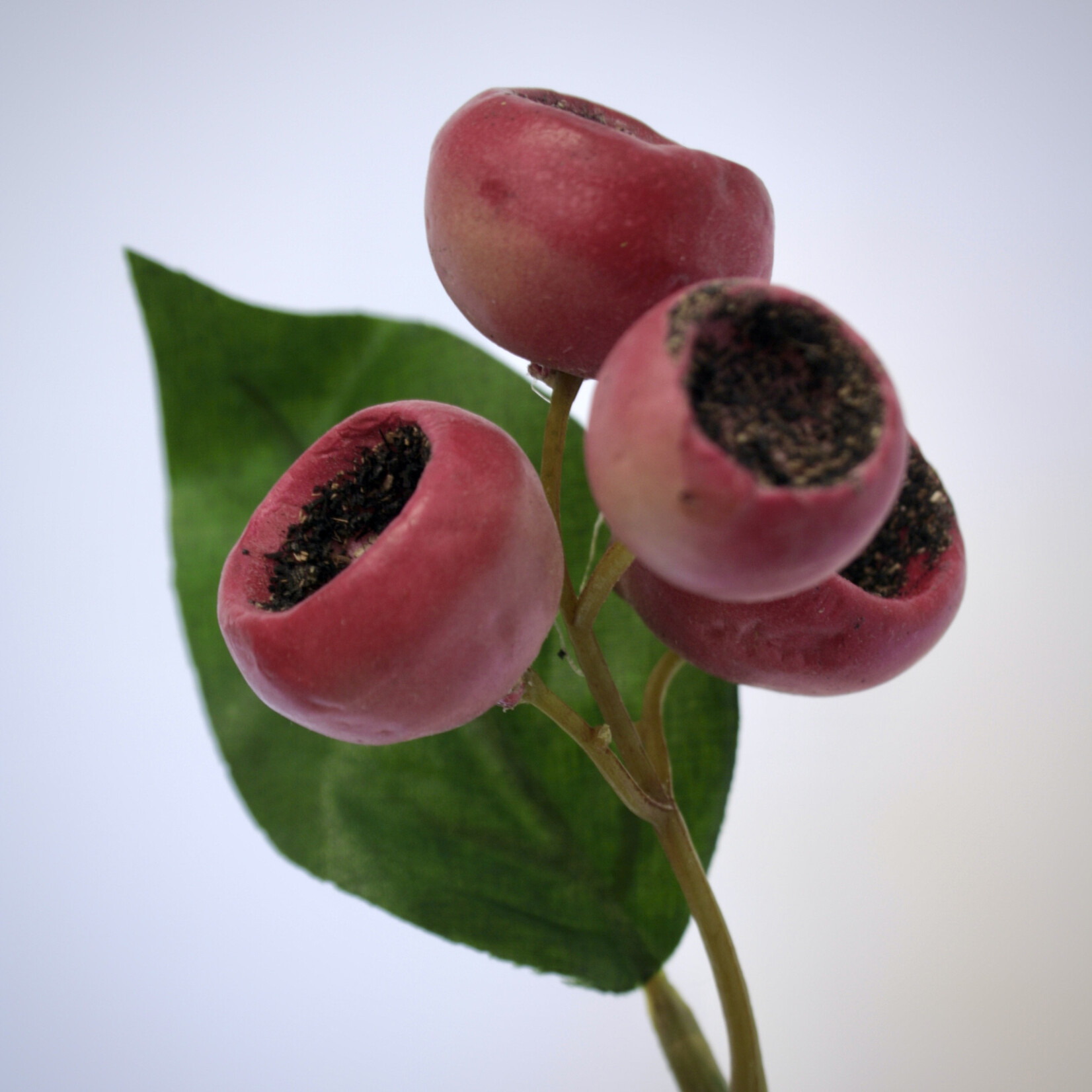 BERRY  SPRAY | RED | 70 CM