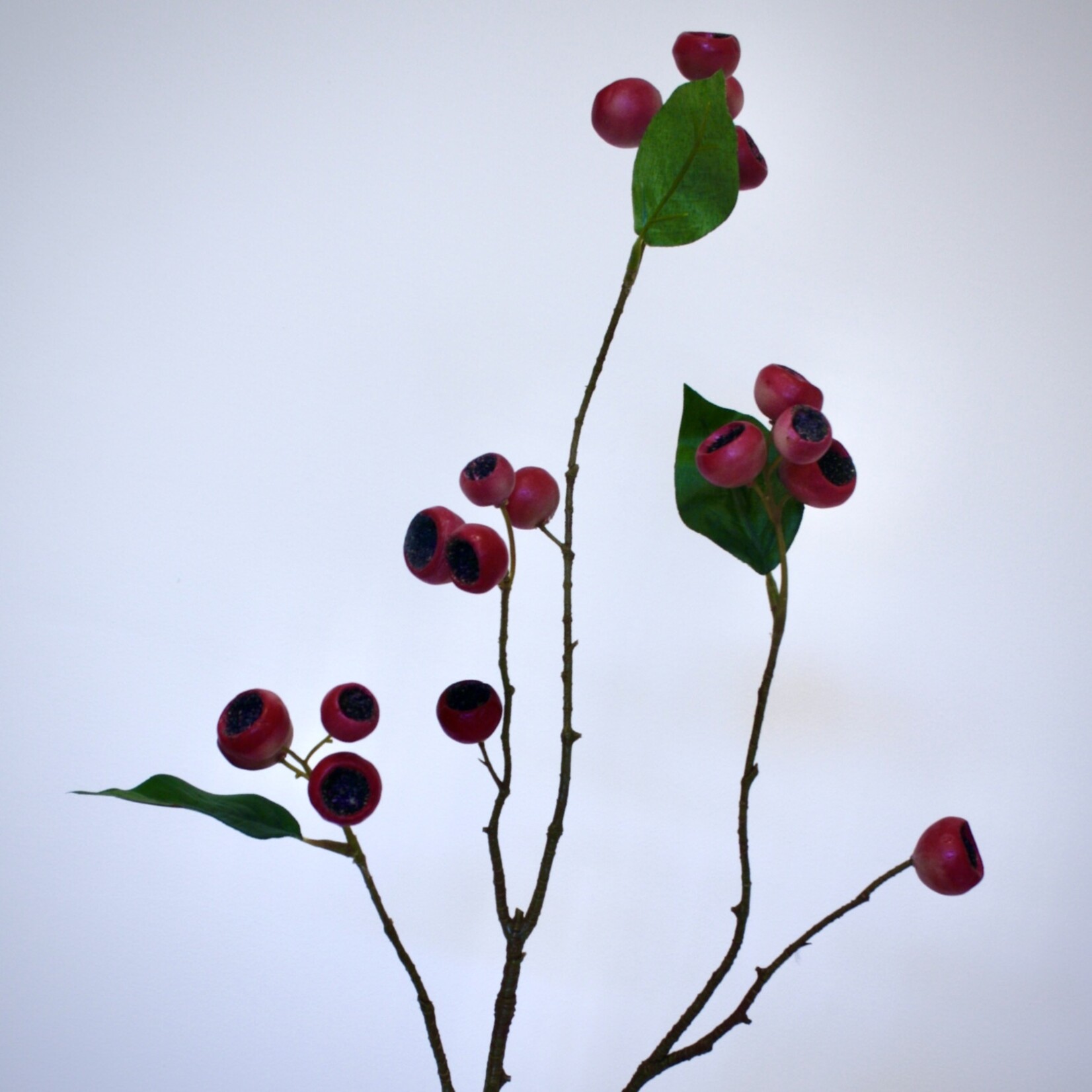 BERRY  SPRAY | RED | 70 CM