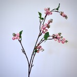 SNOWBERRY | PINK | 77 CM