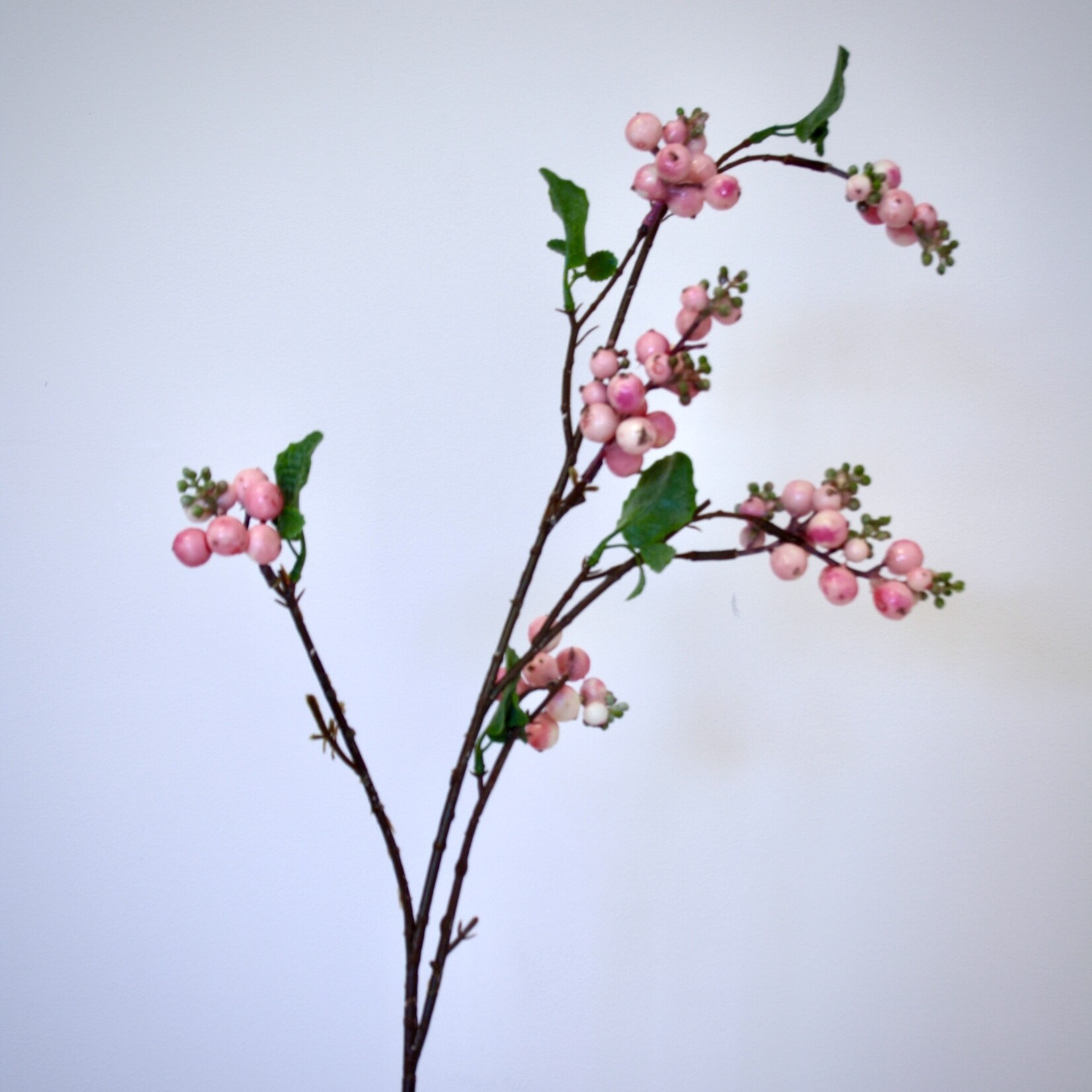 SNEEUWBES  HANCOCK | ROZE | 77 CM