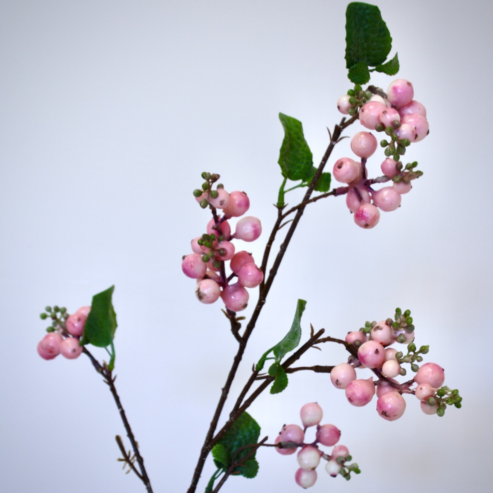 SNEEUWBES  HANCOCK | ROZE | 77 CM