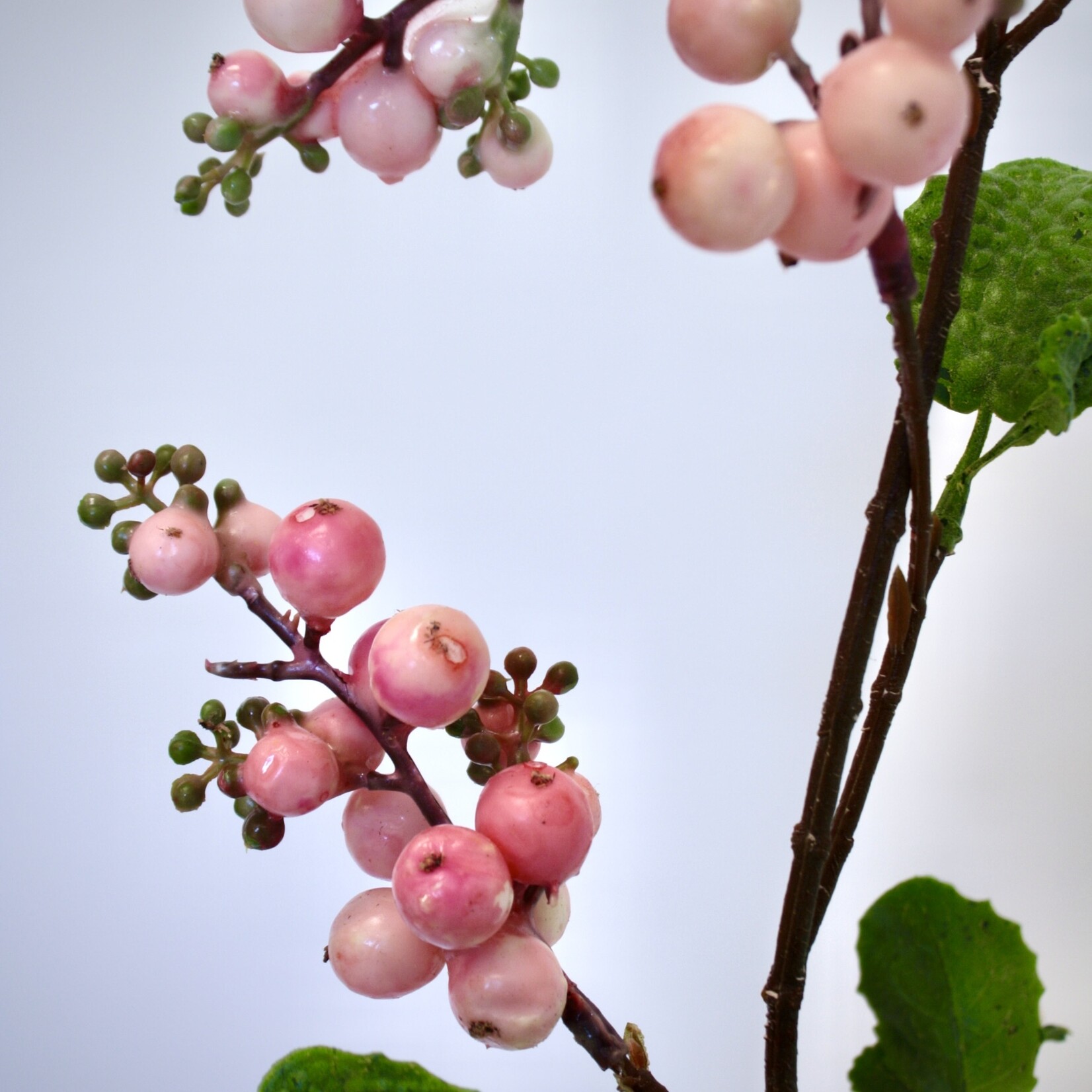 SNOWBERRY  HANCOCK | PINK | 77 CM