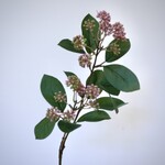 BESSENTAK HEDERA | ROZE |  70 CM