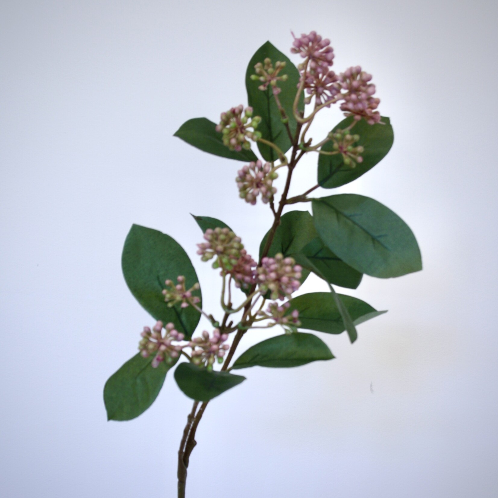 BESSENTAK HEDERA | ROZE |  70 CM