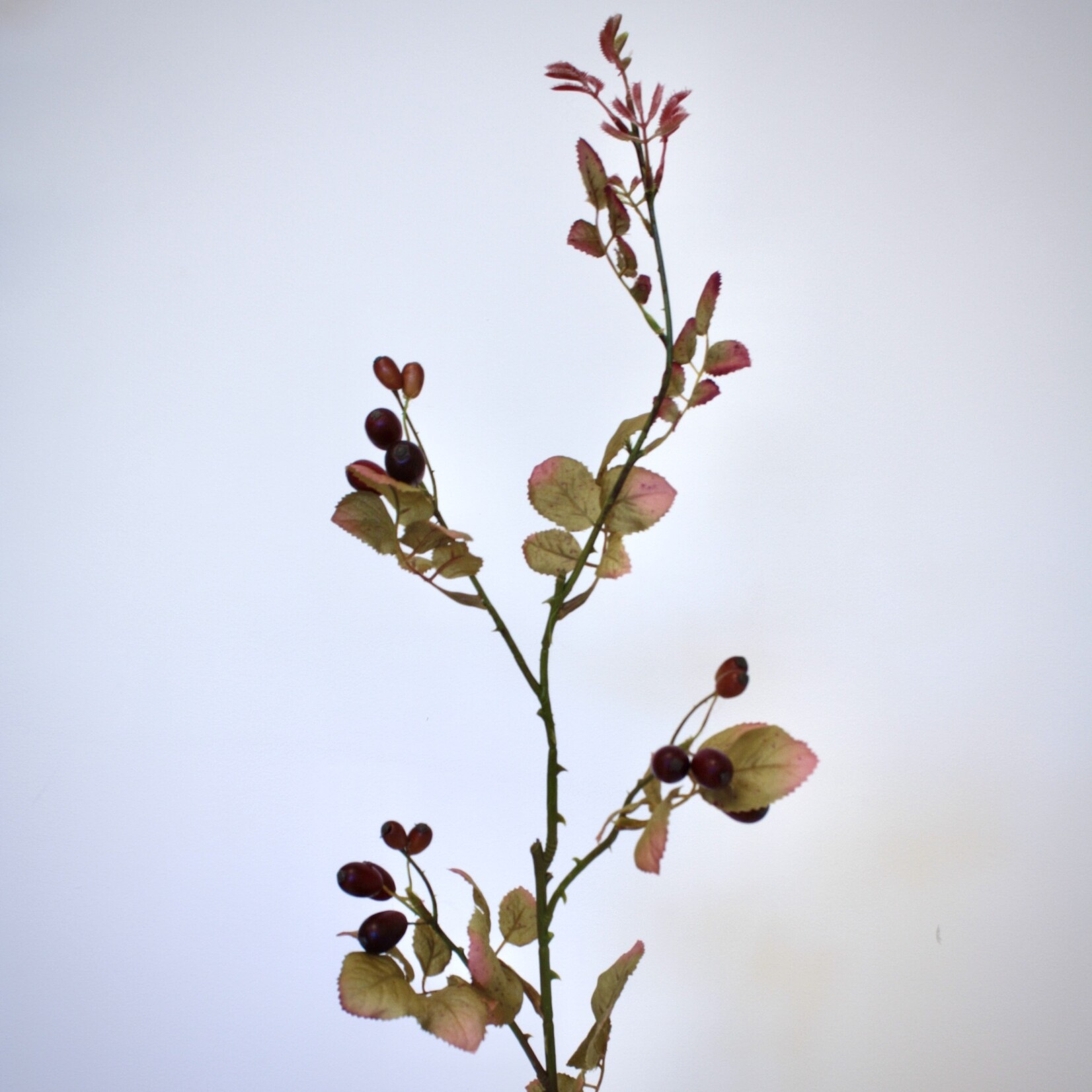 ROSEHIP | RED ORANGE | 85 CM