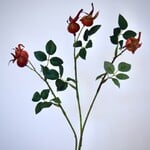 ROSEHIP | ORANGE | 60 CM