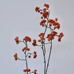 BESSENTAK | ORANJE |  90 CM