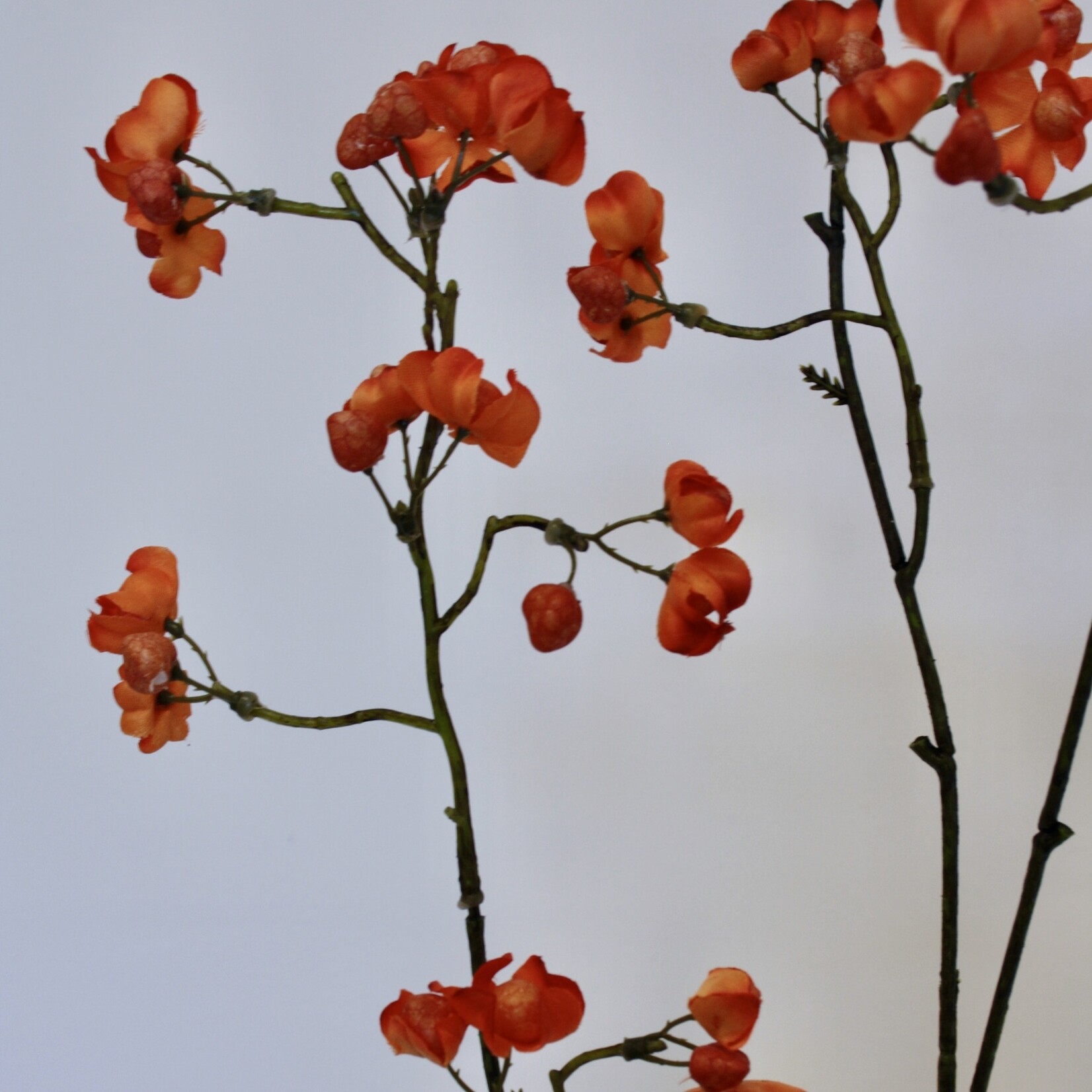BERRY  SPRAY | ORANGE | 90 CM