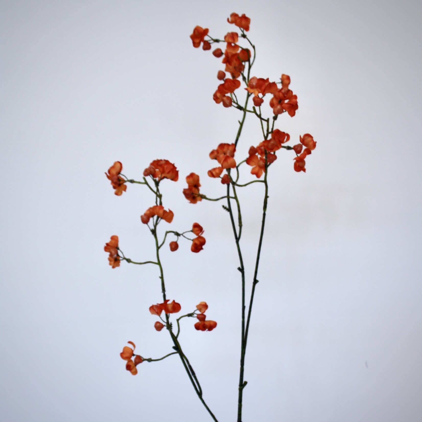 BERRY  SPRAY | ORANGE | 90 CM